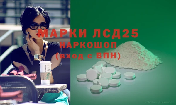 прущие грибы Новокубанск