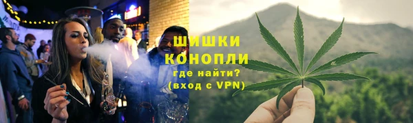 прущие грибы Новокубанск