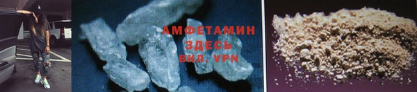 прущие грибы Новокубанск