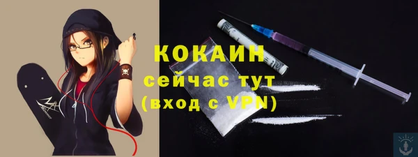 прущие грибы Новокубанск