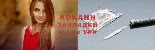 прущие грибы Новокубанск