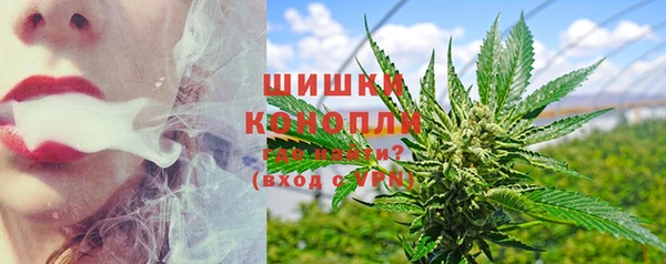прущие грибы Новокубанск