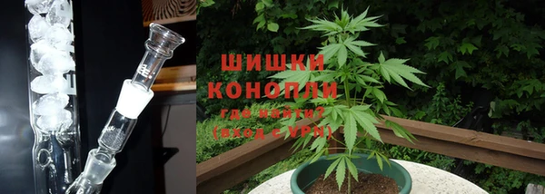 прущие грибы Новокубанск