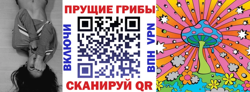 Псилоцибиновые грибы прущие грибы  Купить  Пойковский 